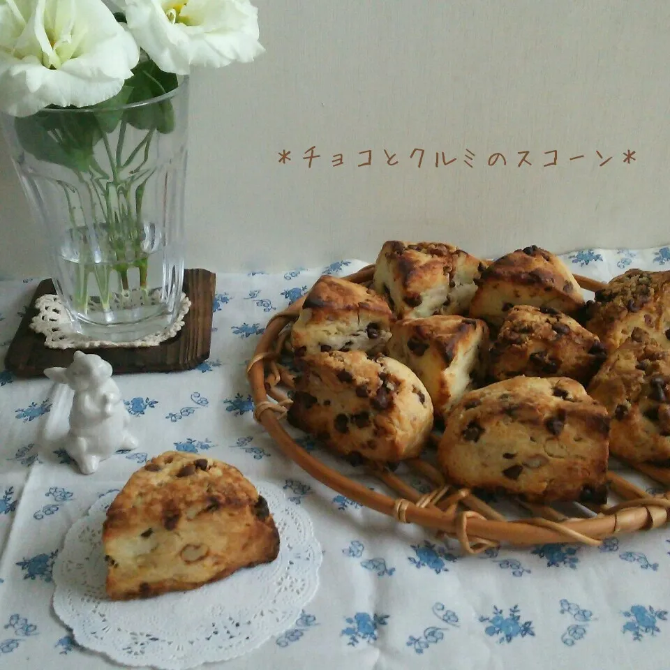 生クリームとはちみつで作る＊チョコとクルミのスコーン＊|sayakaさん