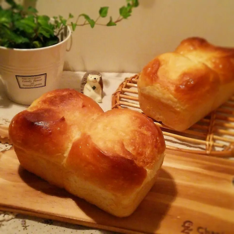 ＊ぷらっとさんのカルピス食パン＊|sayakaさん