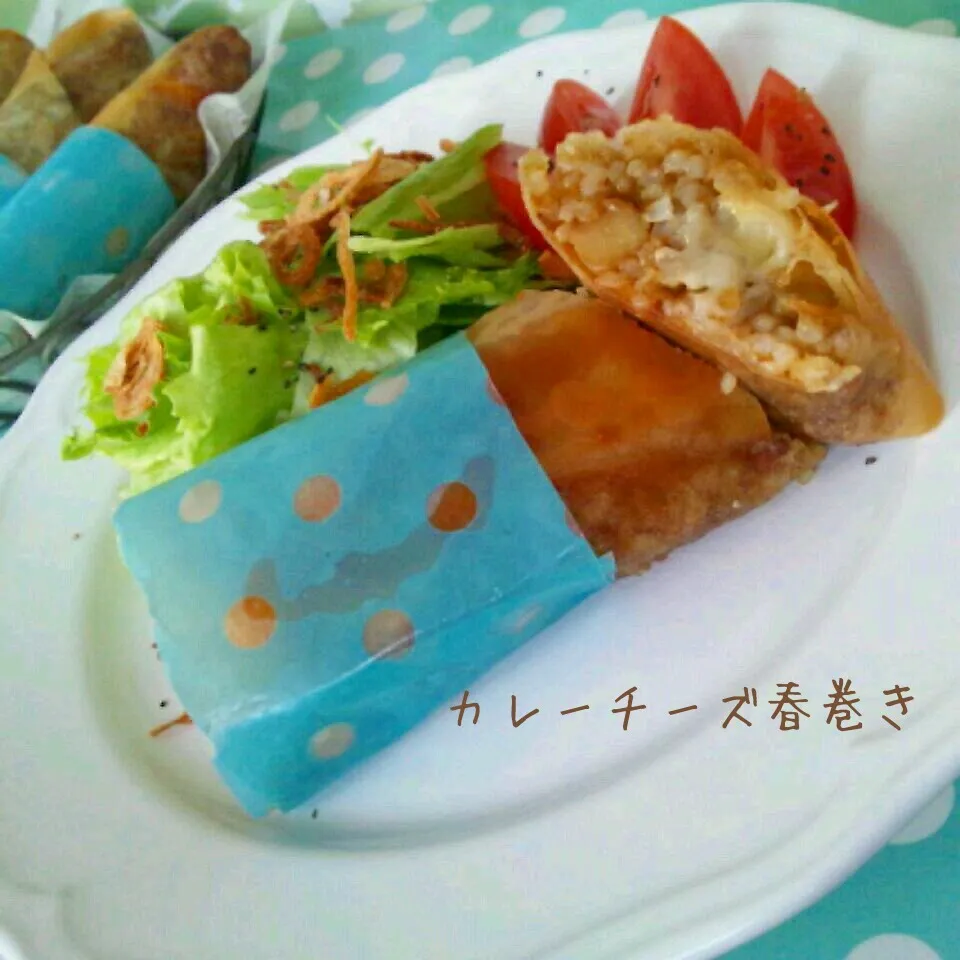 Snapdishの料理写真:たかさんのカレーチーズ春巻き♪|sayakaさん