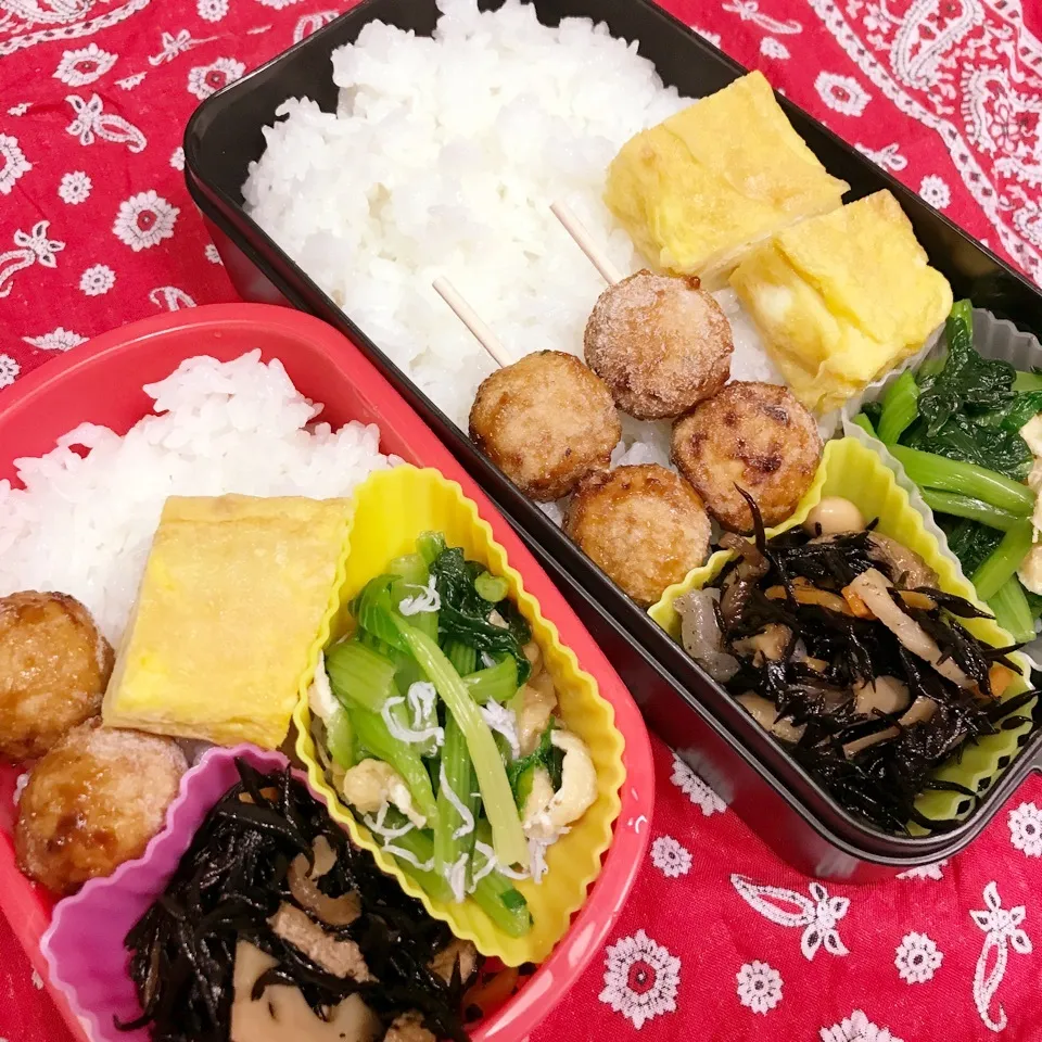 Snapdishの料理写真:高3高1今日のお弁当|ユッコさん