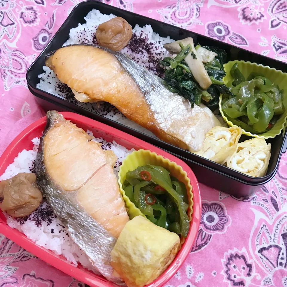 高3高1今日のお弁当|ユッコさん