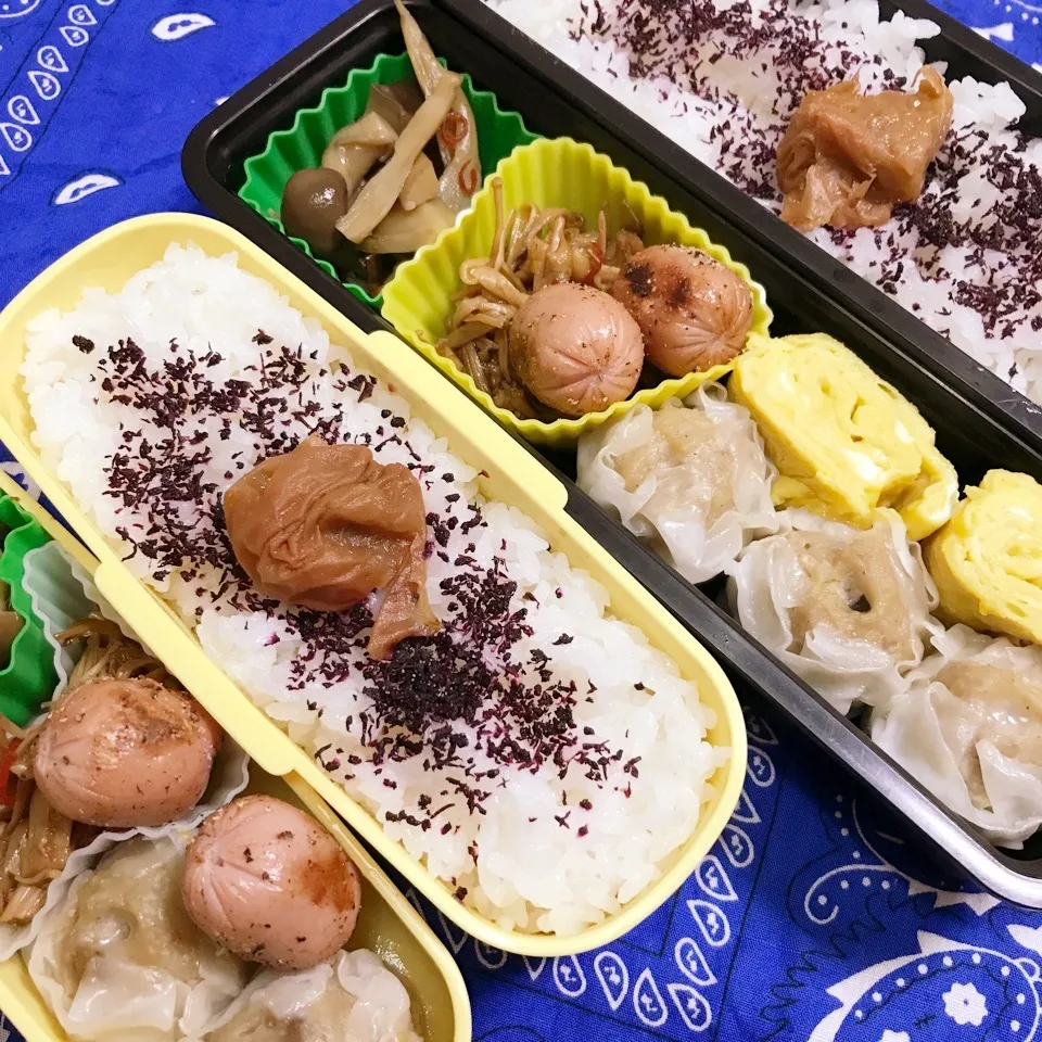 Snapdishの料理写真:高3高1今日のお弁当|ユッコさん