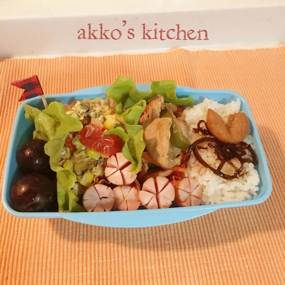 ✨息子っちのお弁当✨〜9/29木曜日〜|akkoさん