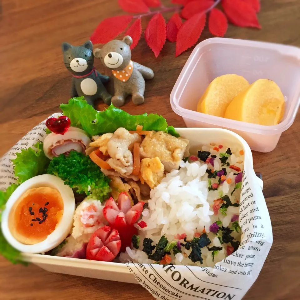 Snapdishの料理写真:予告通り♪厚揚げチャンプルー弁当|rinrinさん