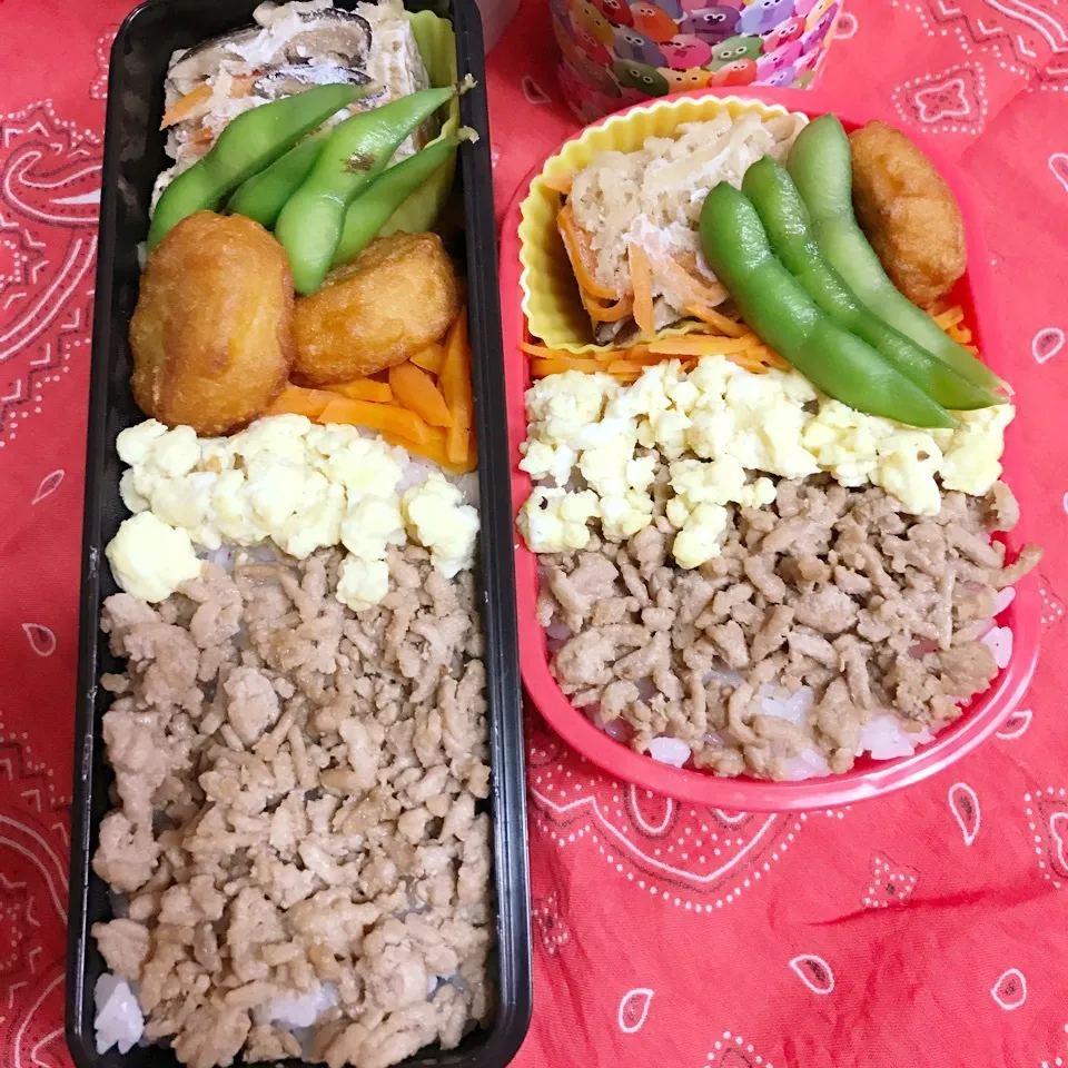 Snapdishの料理写真:高2.中3今日のお弁当|ユッコさん