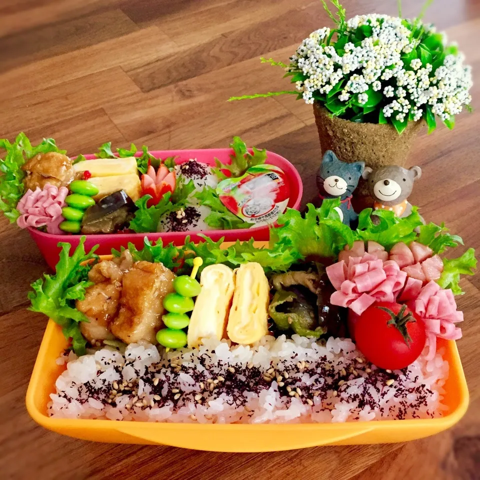 Snapdishの料理写真:豚肉巻き厚揚げ甘辛煮弁当|rinrinさん