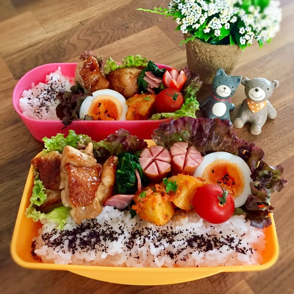 ダシダティキン弁当|rinrinさん