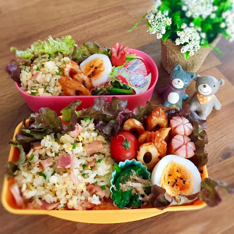 Snapdishの料理写真:ダシダ炒飯弁当|rinrinさん