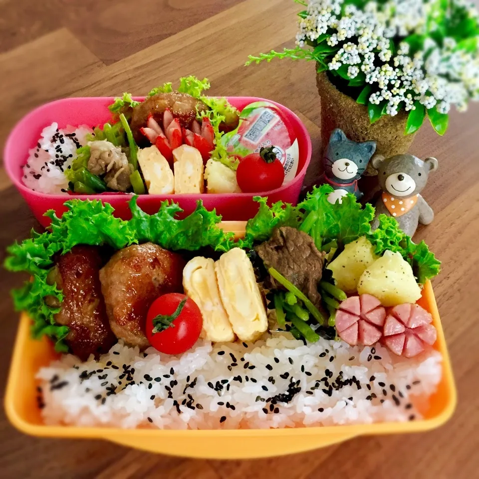 Snapdishの料理写真:チーズin長芋豚バーグ弁当|rinrinさん