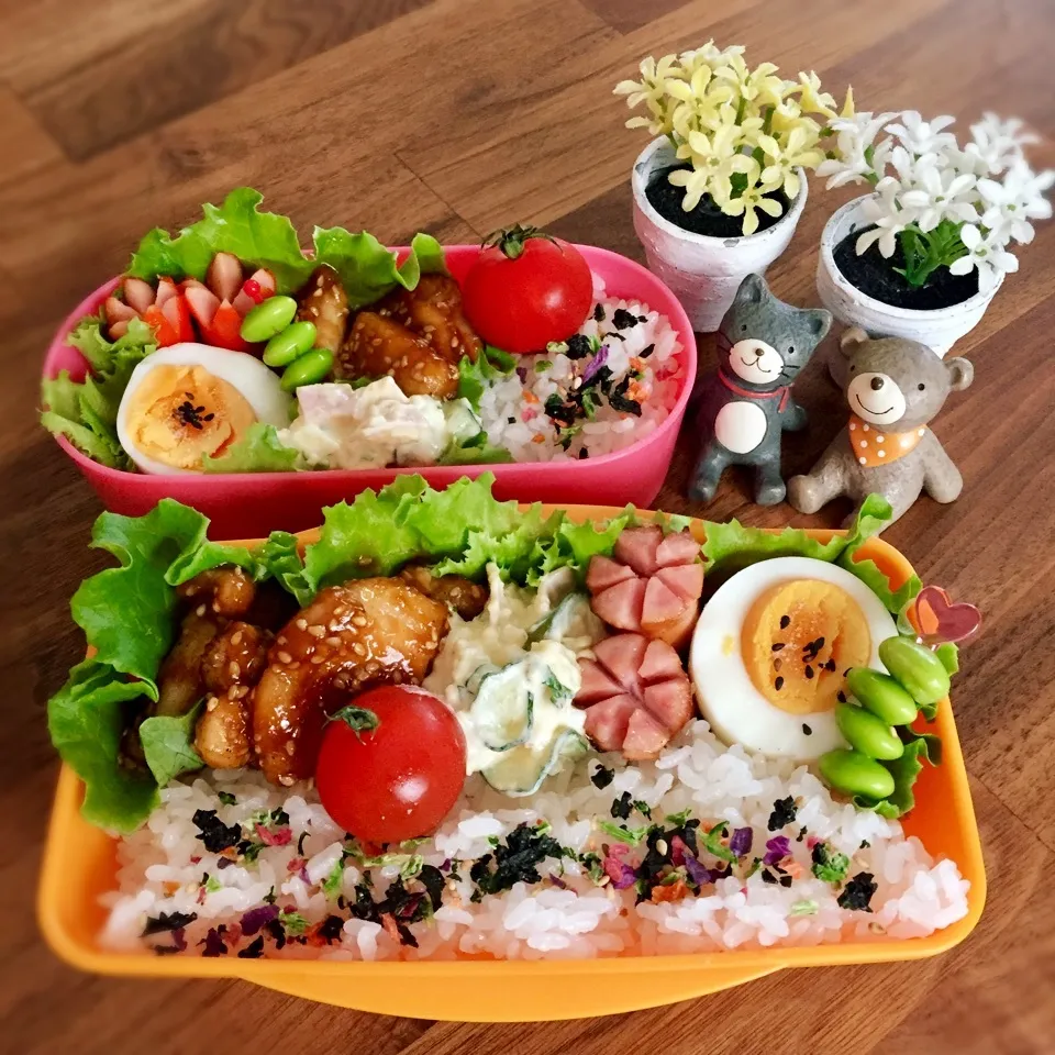 今日のお弁当|rinrinさん