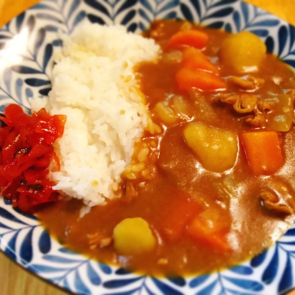 カレーライスの晩ごはん^_^|Daikiさん