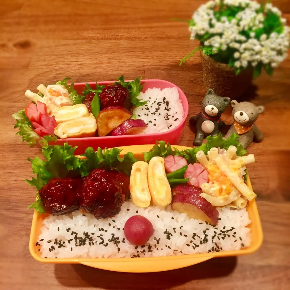 Snapdishの料理写真:今日のお弁当|rinrinさん