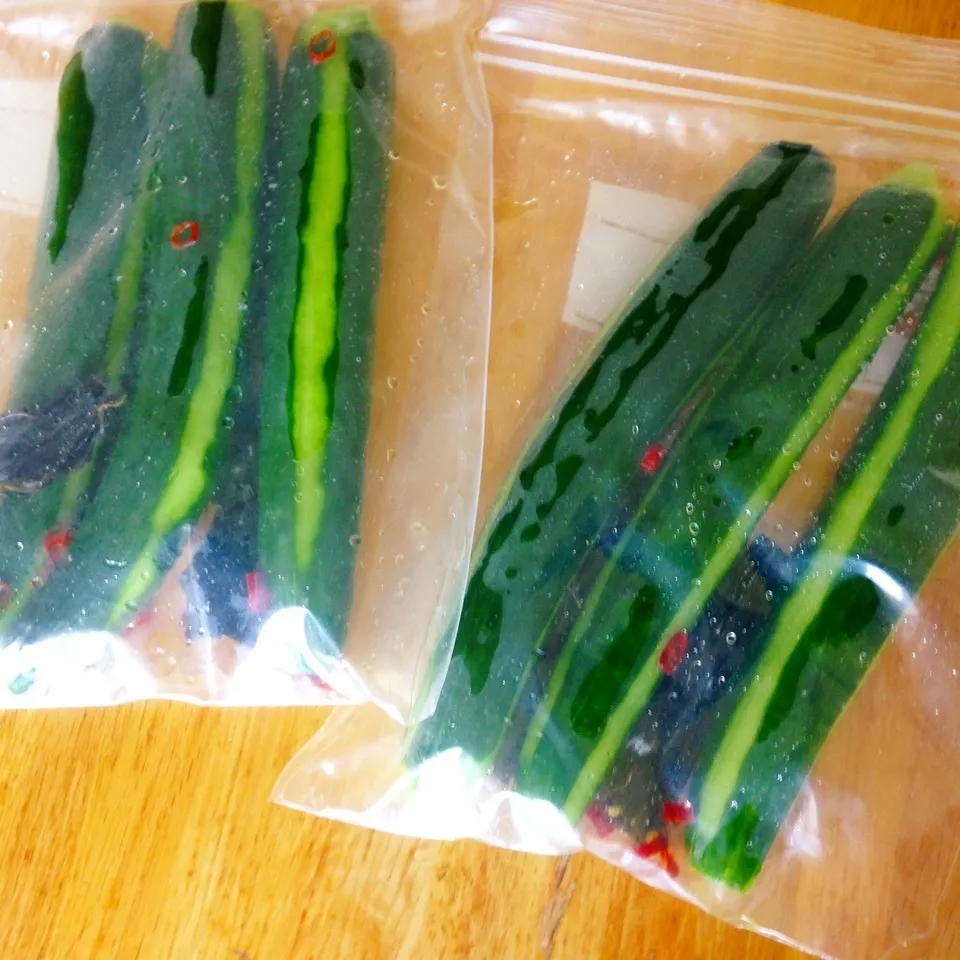 Snapdishの料理写真:キュウリの一本漬け🥒|Daikiさん