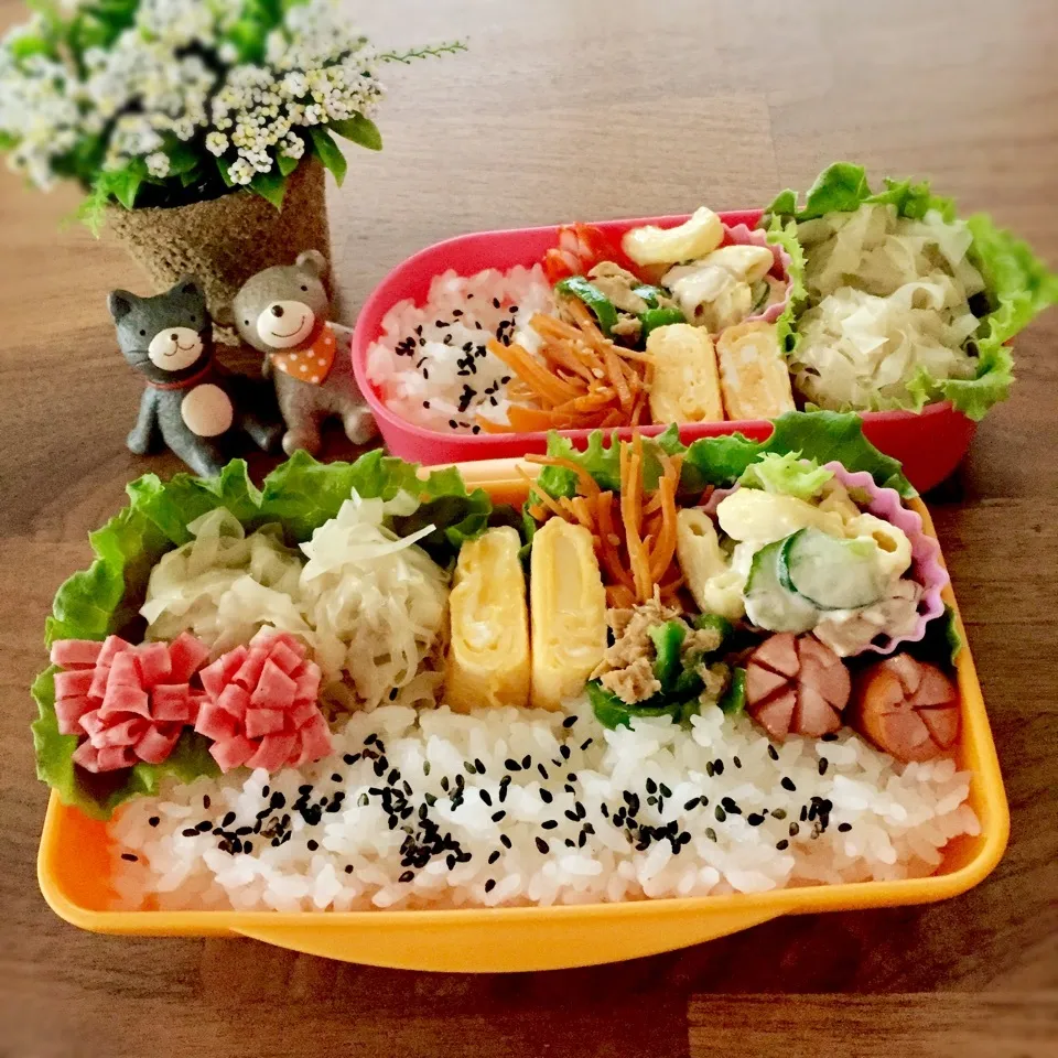 今日のお弁当|rinrinさん