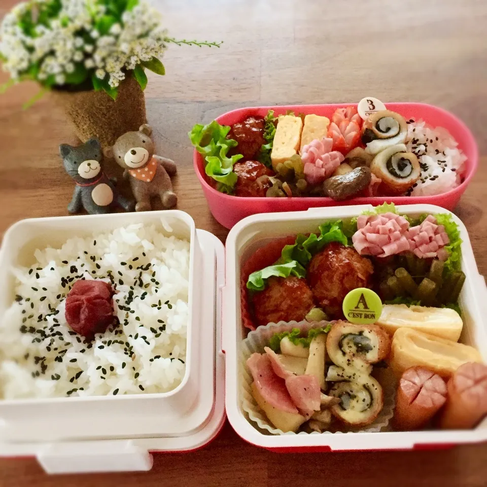 今日のお弁当|rinrinさん