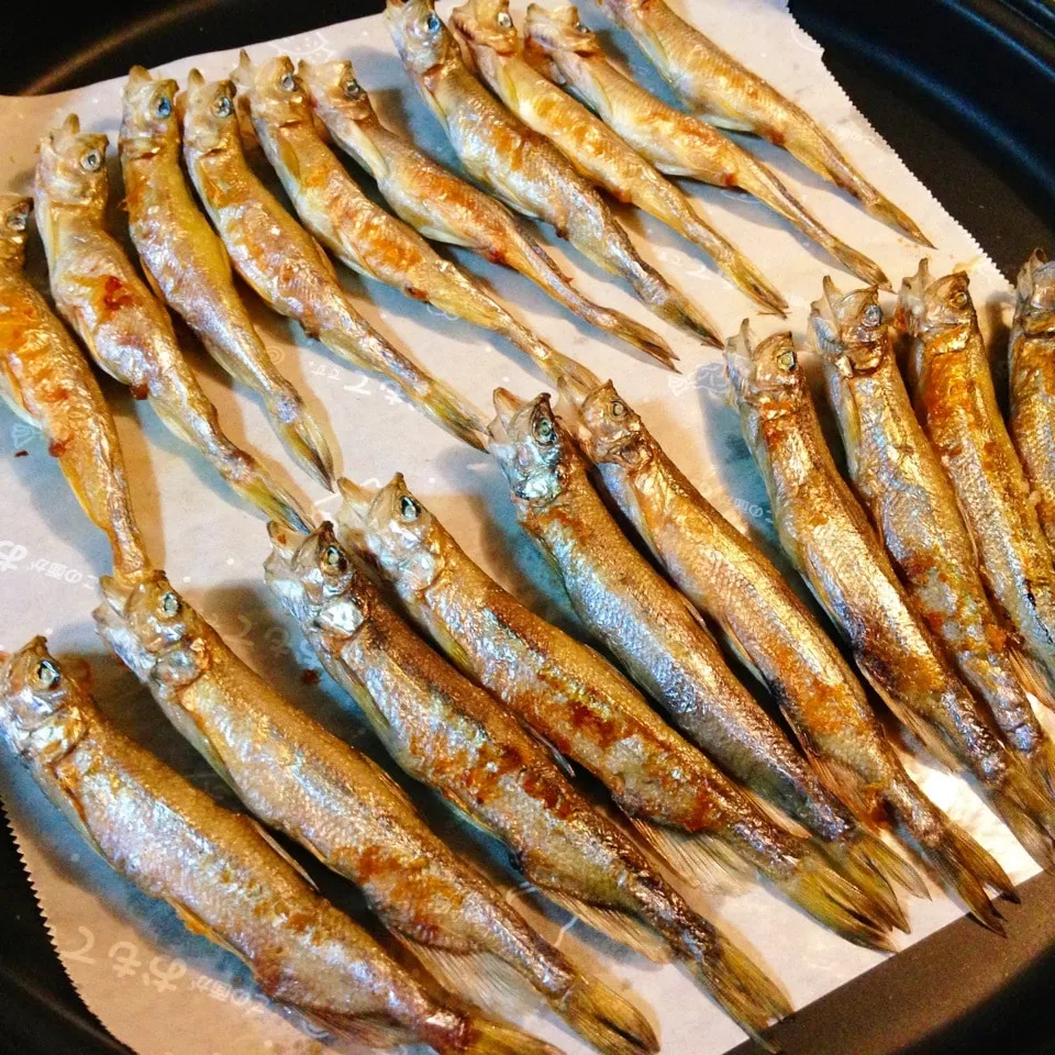 北海道産ししゃものホットプレート焼き🐡|Daikiさん