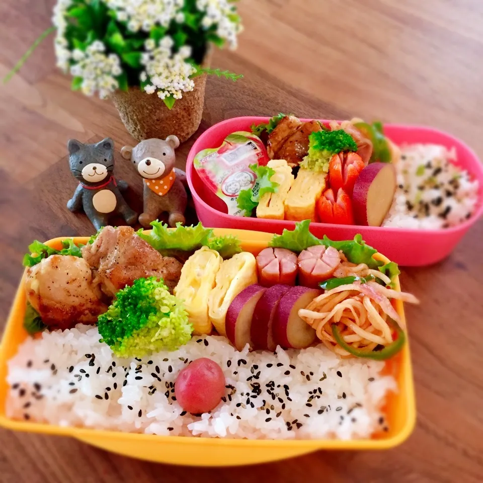 今日のお弁当|rinrinさん