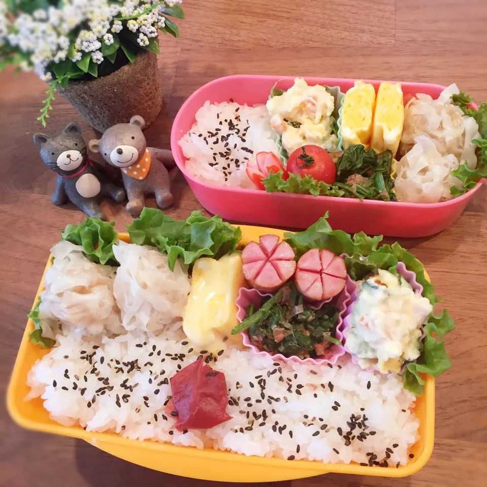 今日のお弁当|rinrinさん