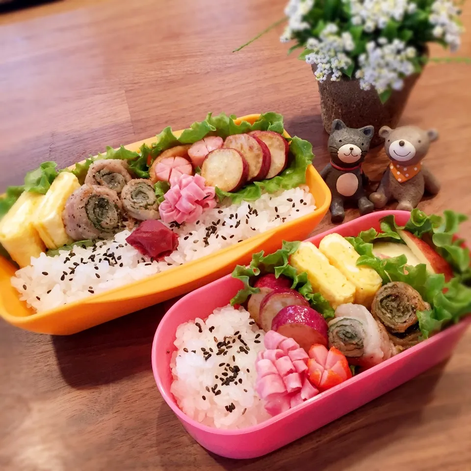 今日のお弁当|rinrinさん