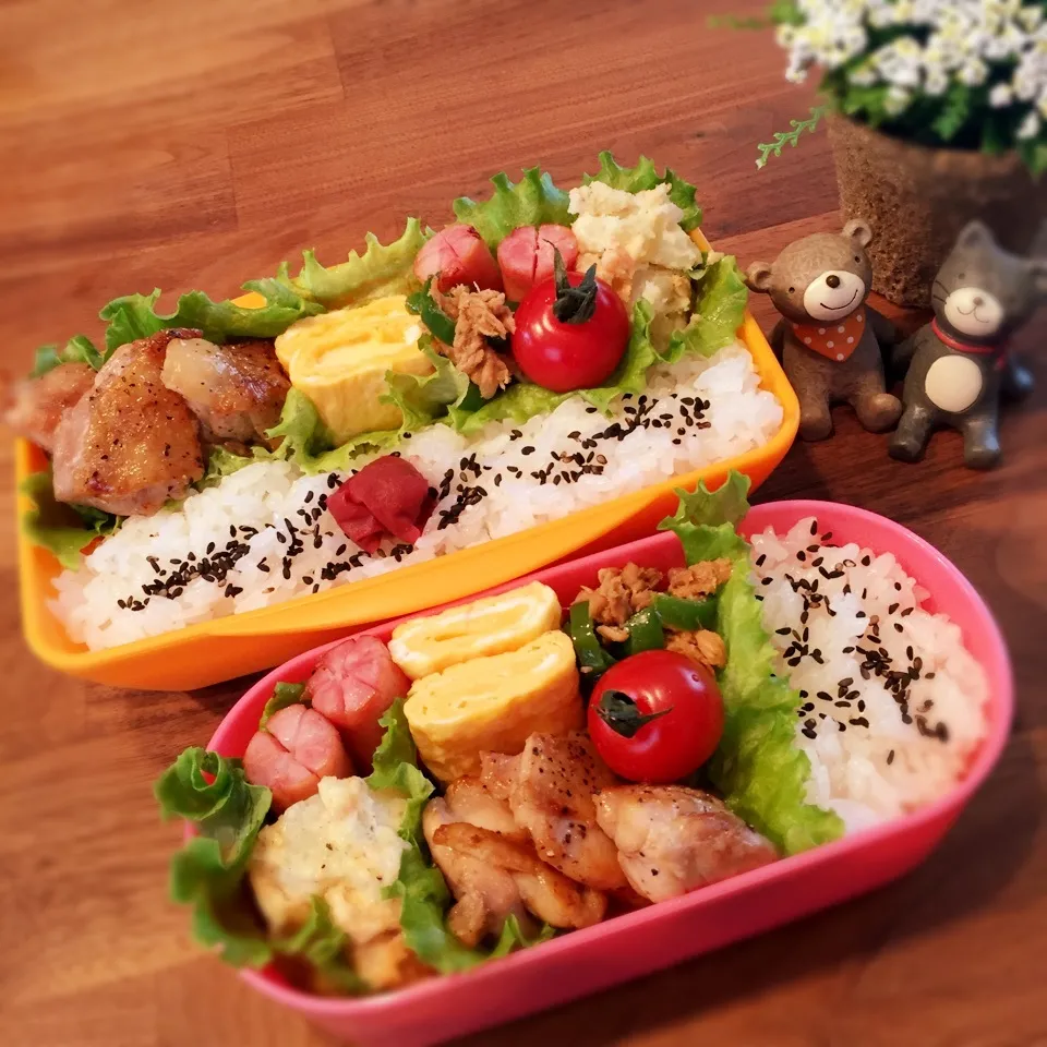 Snapdishの料理写真:今日のお弁当|rinrinさん