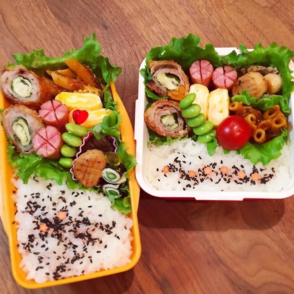 Snapdishの料理写真:今日のお弁当|rinrinさん