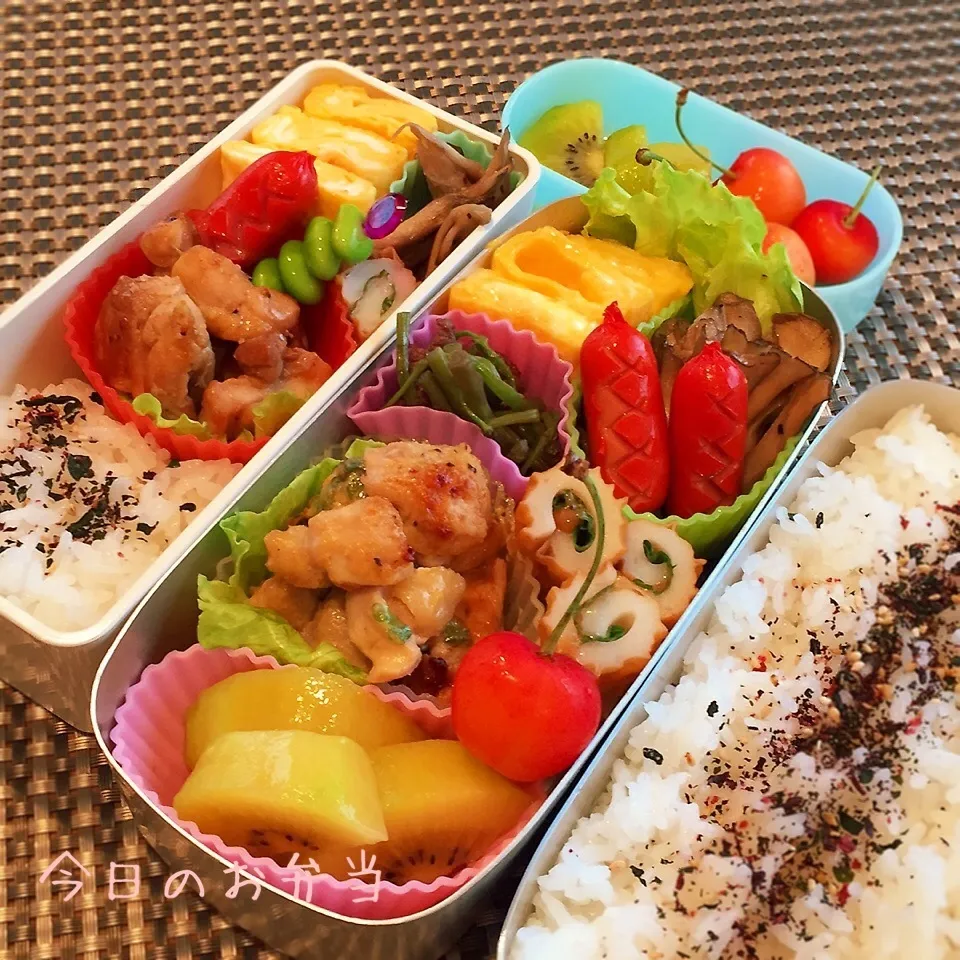 Snapdishの料理写真:今日のお弁当|rinrinさん