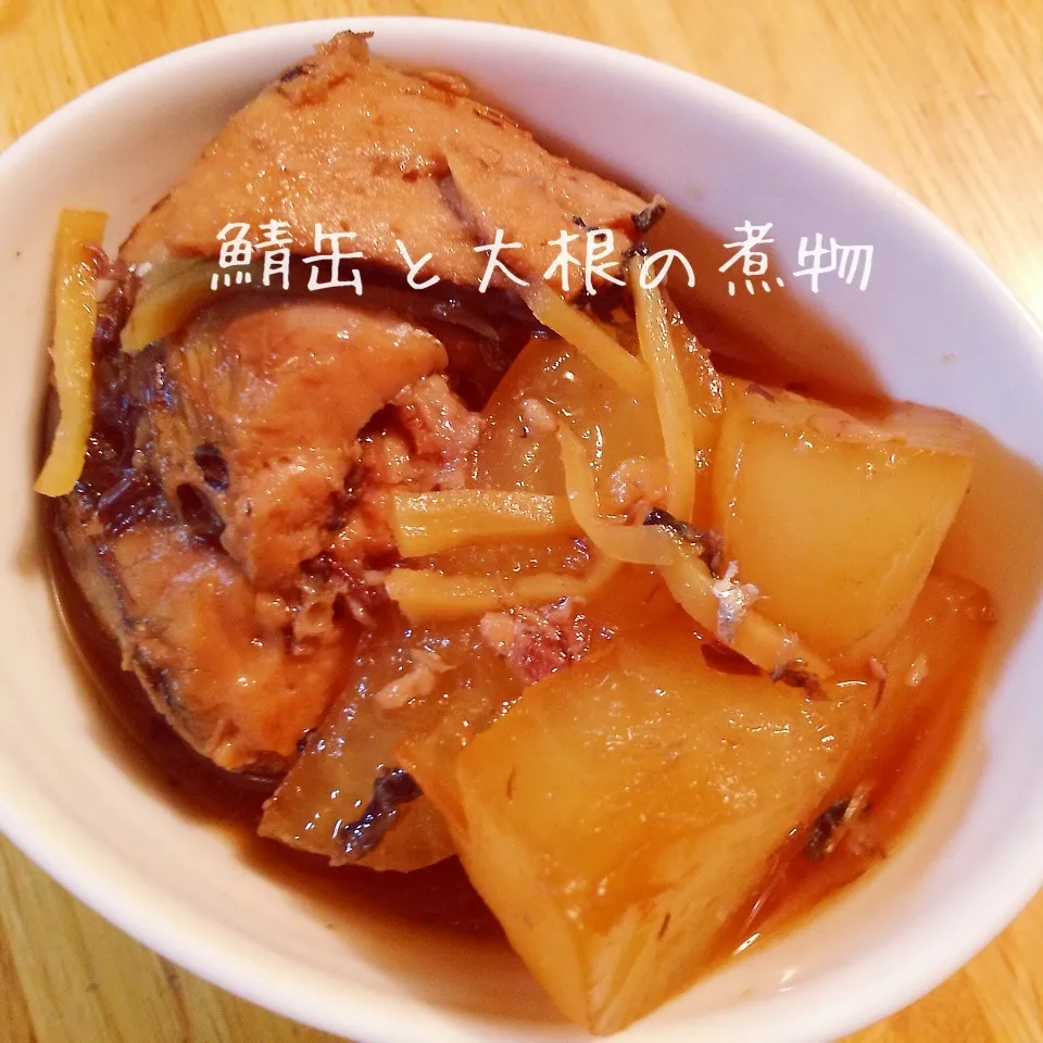 Snapdishの料理写真:鯖水煮缶と大根の煮物|Daikiさん