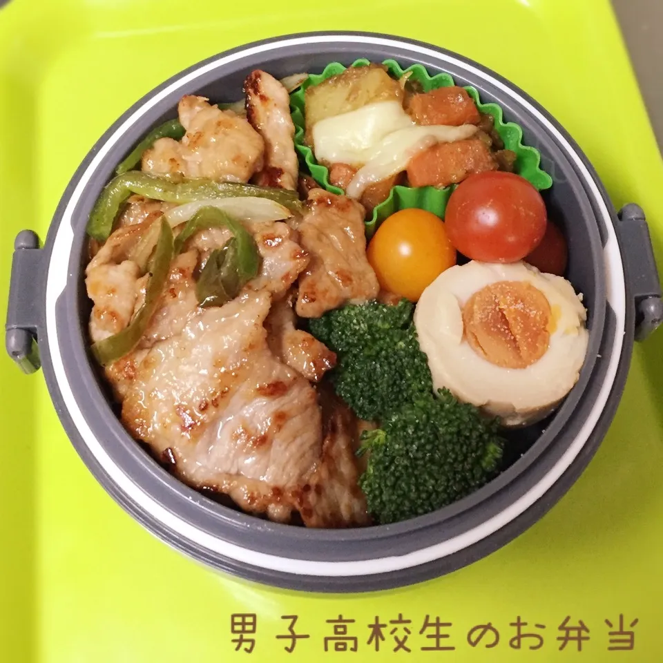 Snapdishの料理写真:高1男子のお弁当 スタミナ焼き|チャコさん