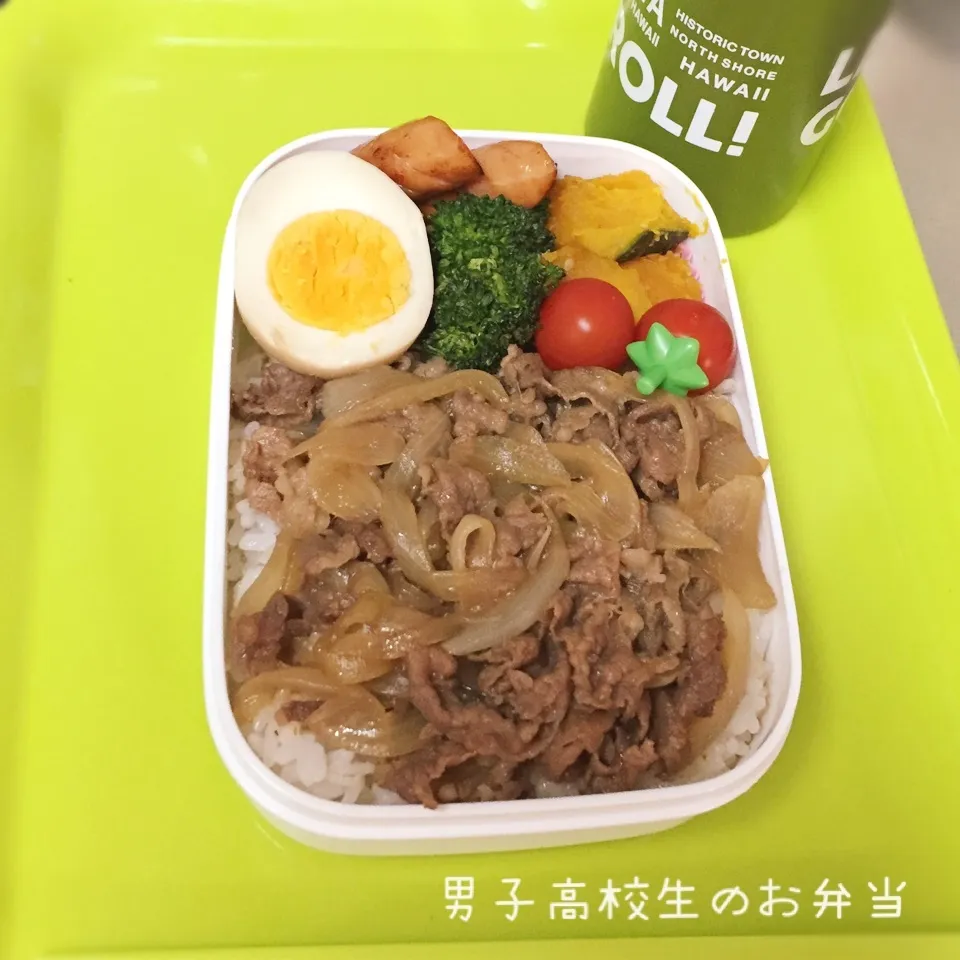 高1男子のお弁当 牛丼|チャコさん