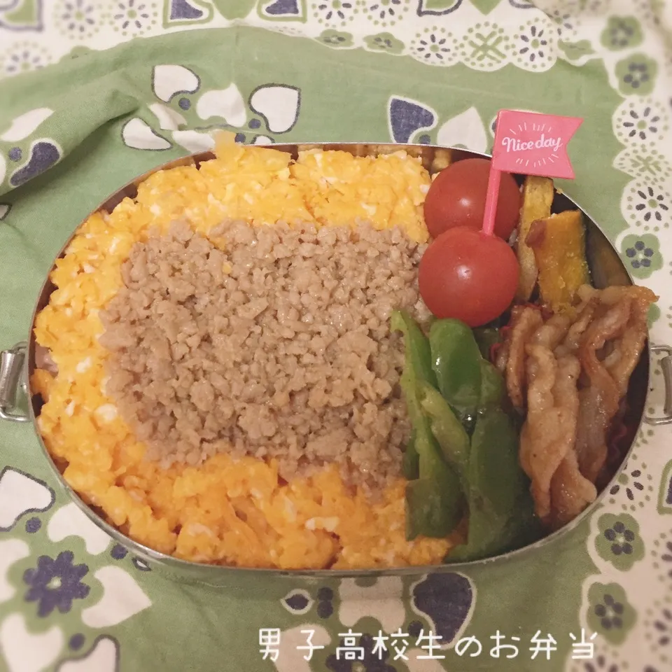 高1男子のお弁当 鶏そぼろ|チャコさん