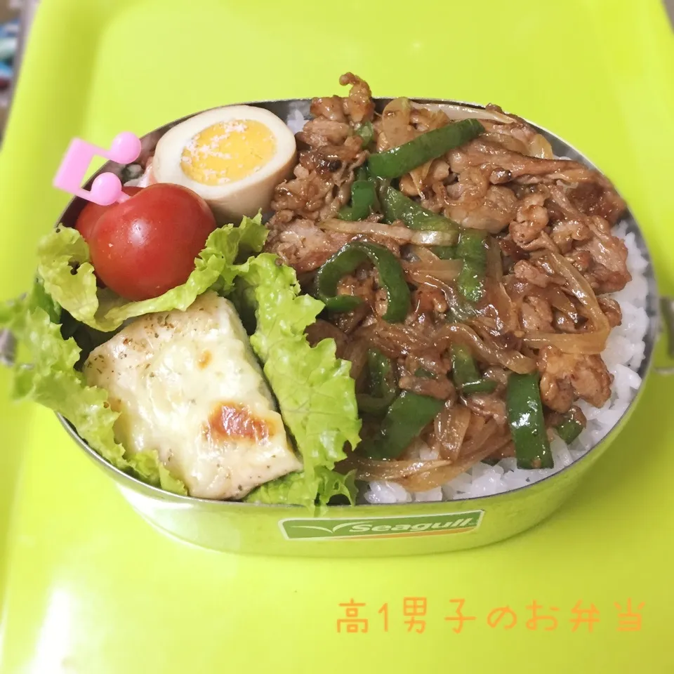 高1男子のお弁当 青椒肉絲 ササミチーズ|チャコさん