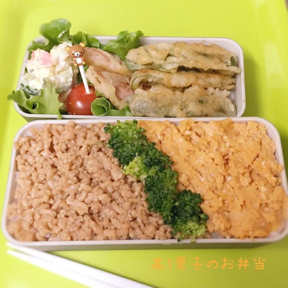 高1男子のお弁当 鶏そぼろ|チャコさん