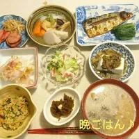 Snapdishの料理写真:今日の晩ごはん(塩鯖と…)|oomugiさん