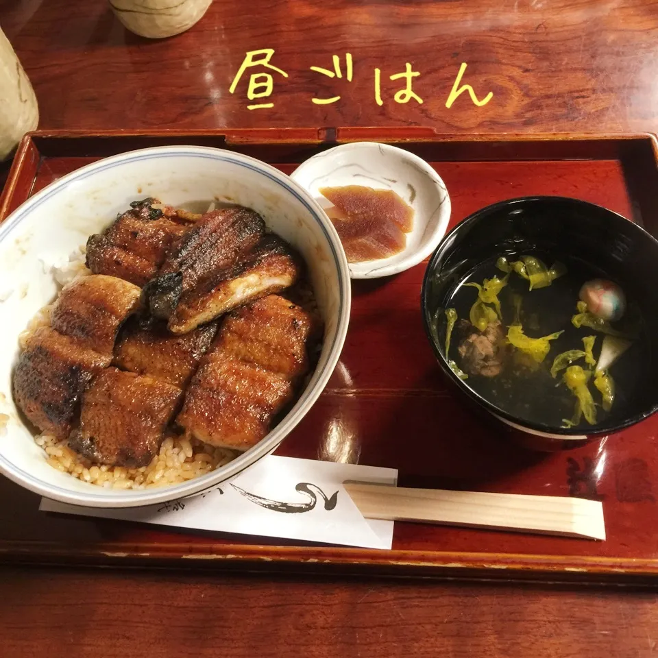 関辻屋さんの上鰻丼|yakinasuさん