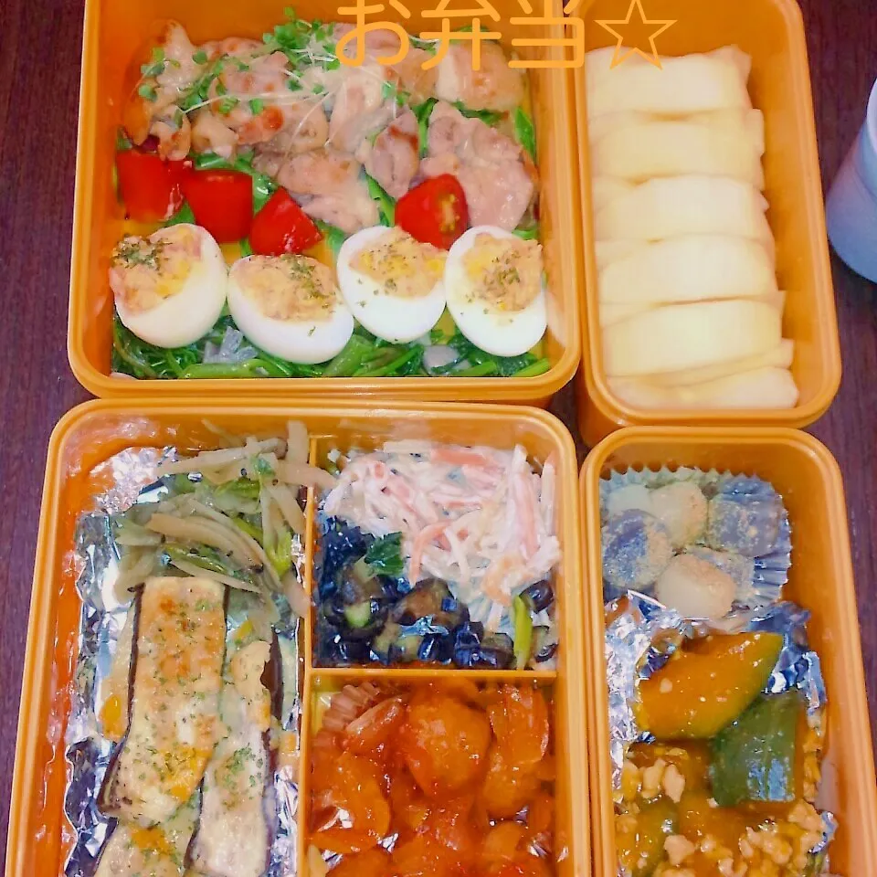 12種のおかず弁当|かおりんさん