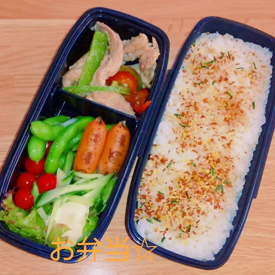 Snapdishの料理写真:愛菜弁当|かおりんさん