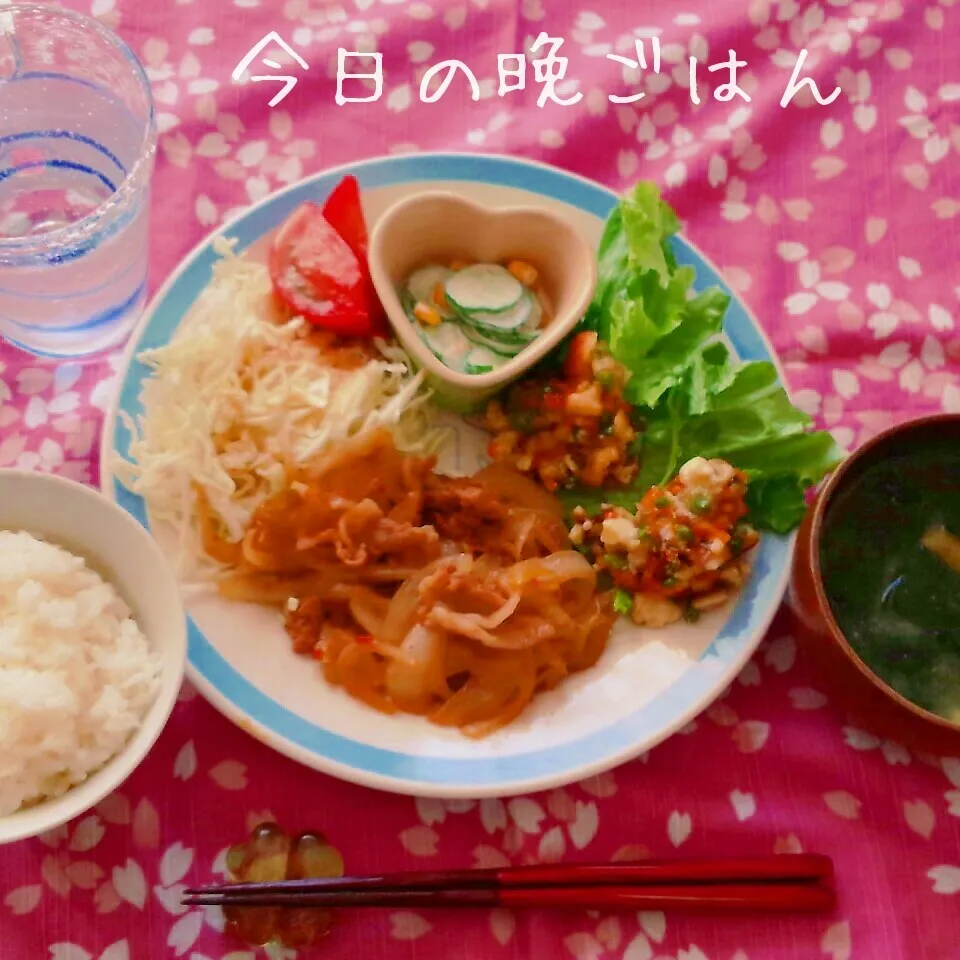 Snapdishの料理写真:豚肉の甘辛焼き|かおりんさん