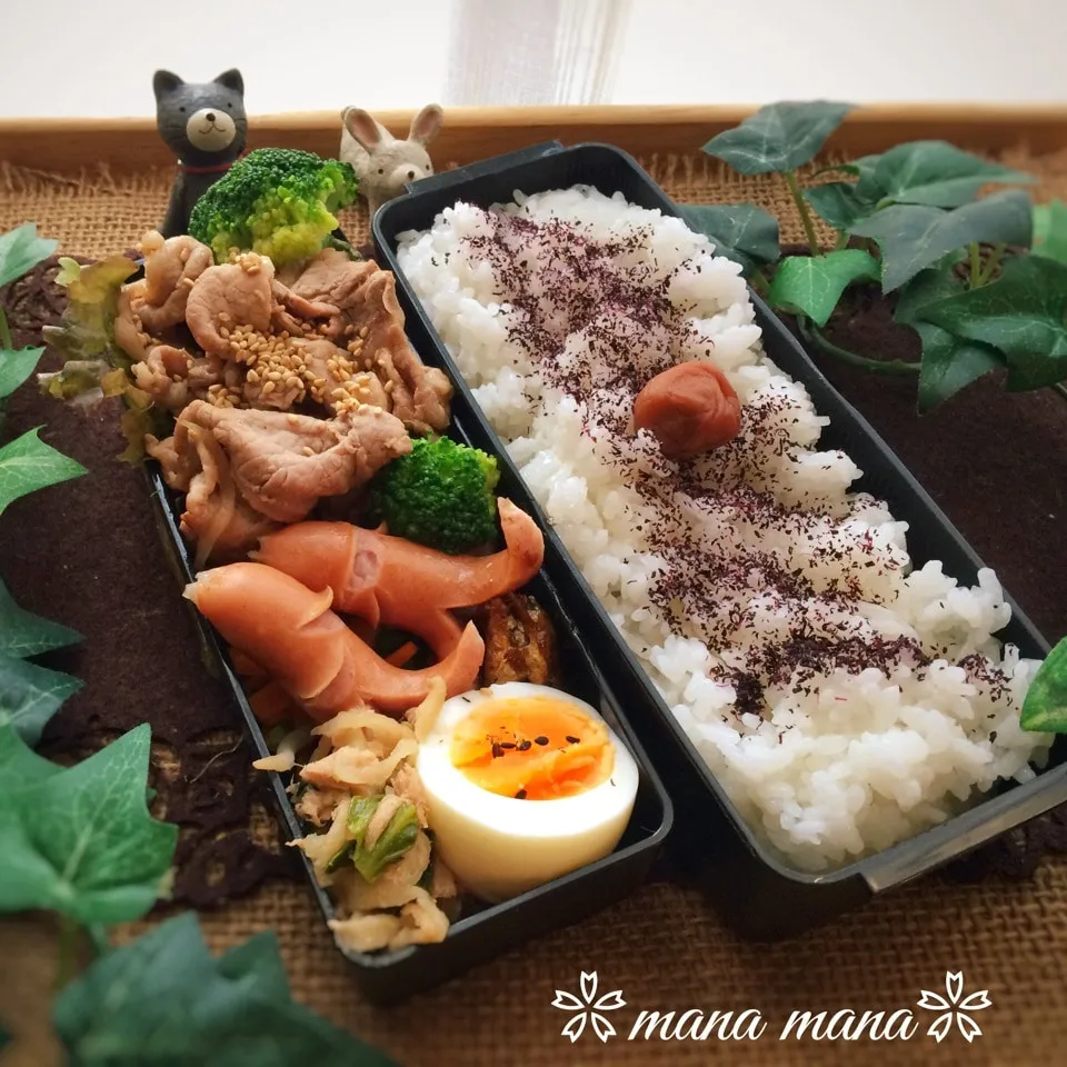 見られてますよ(ノ∀｀)弁当～|まなまな♡さん