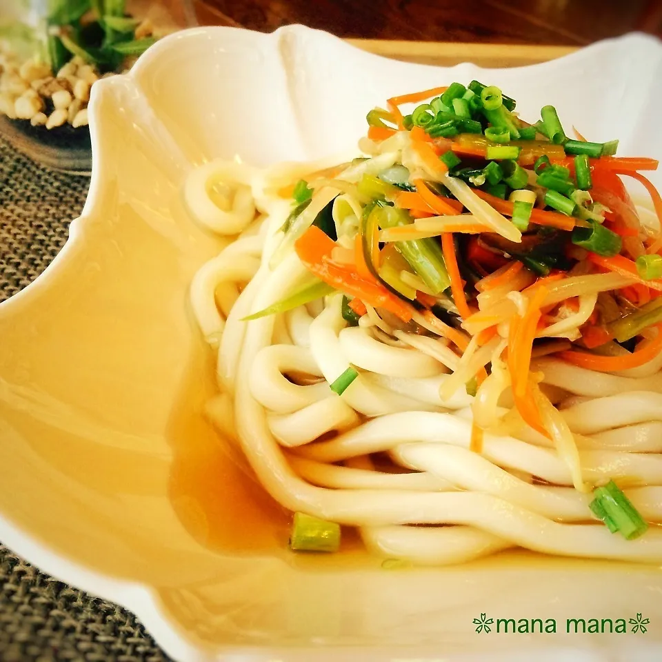 Snapdishの料理写真:野菜あんかけうどん♪|まなまな♡さん