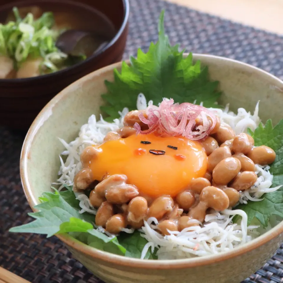 納豆ご飯|tomoさん