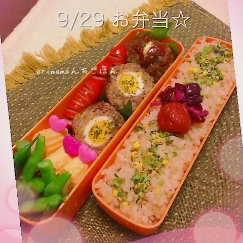 Snapdishの料理写真:100均の型で作るシリーズ♡まんまるミニミニミートローフ弁当|chouchouさん