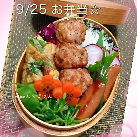 Snapdishの料理写真:盛り沢山（≧∇≦）軟骨入り鶏の塩つくね弁当☆|chouchouさん