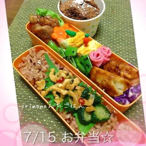 豚肉のハニージンジャー＆生姜たっぷり揚げ餃子弁当☆|chouchouさん