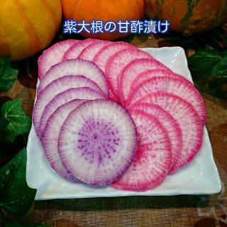 紫大根甘酢漬けのレシピと料理アイディア318件 Snapdish スナップディッシュ
