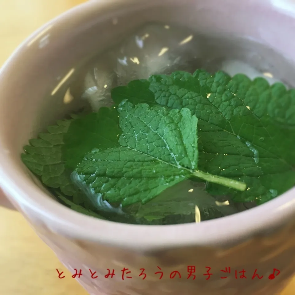 自家製レモンバームウォーター♪|とみとみたろうの男子ごはん♪さん