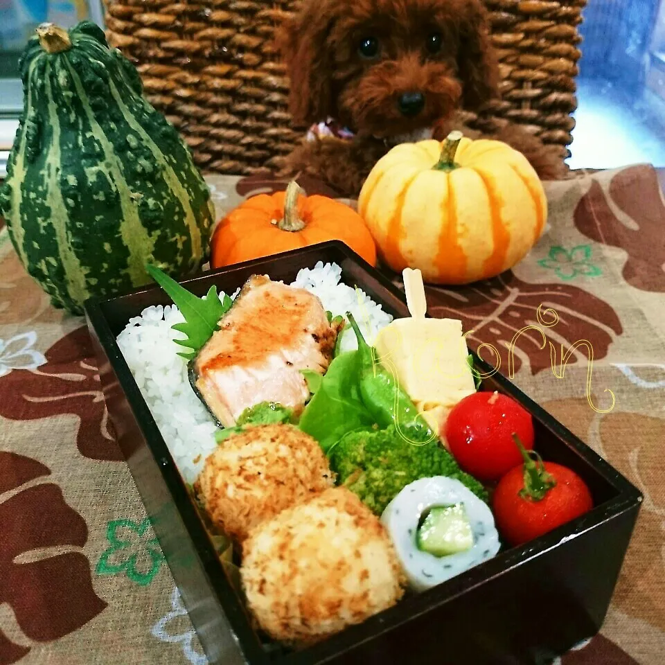 Snapdishの料理写真:今日の旦那弁♪鮭弁当★|かおりん✴︎❤︎さん