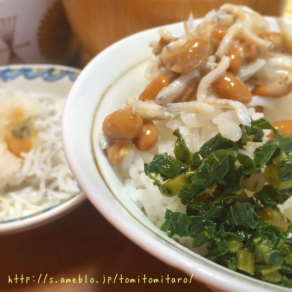 納豆じゃこおろし大根菜丼〜♪|とみとみたろうの男子ごはん♪さん