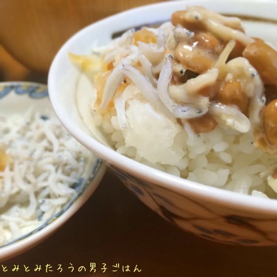 納豆じゃこおろし丼〜♪|とみとみたろうの男子ごはん♪さん