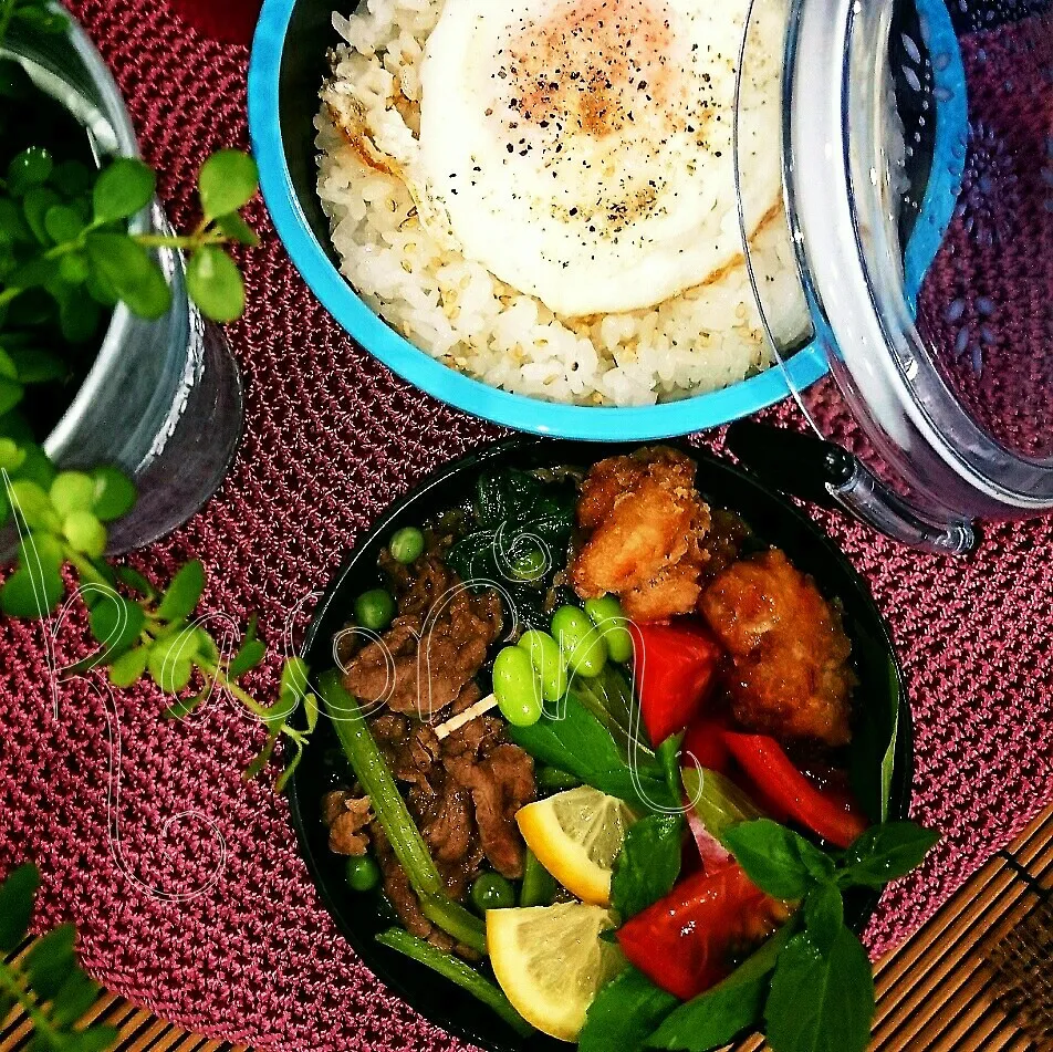 今日の旦那弁♪焼肉目玉焼き丼弁|かおりん✴︎❤︎さん