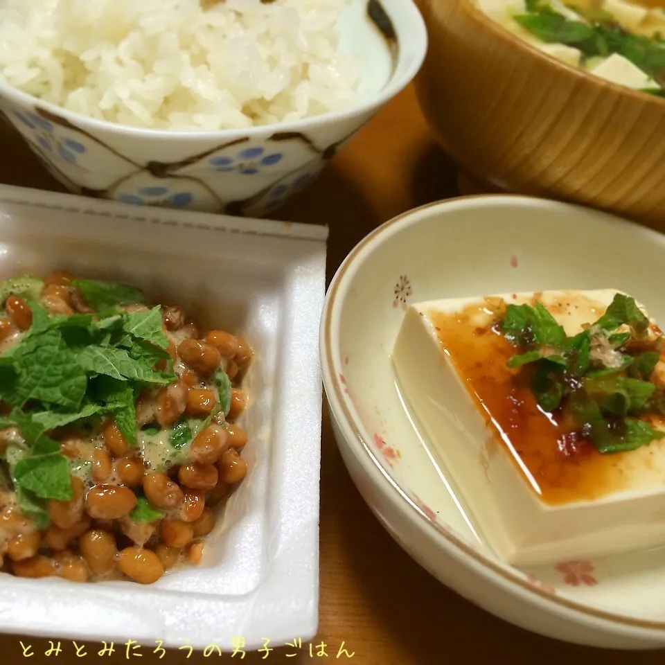 Snapdishの料理写真:朝ごはんに青じそ尽くし！大葉入り納豆♪|とみとみたろうの男子ごはん♪さん